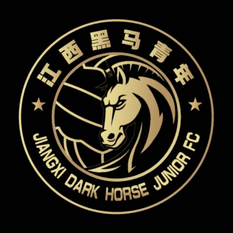  官方：江西黑馬青年完成異地遷移程序，更名為溫州職業(yè)足球俱樂部